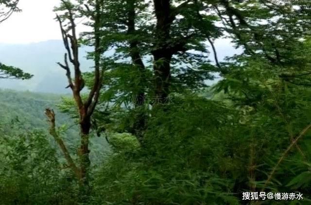 1965年，中美在海南空战17分钟，我军一弹未发，为何美军死伤惨重