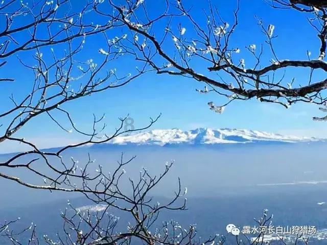 炮轰男爵