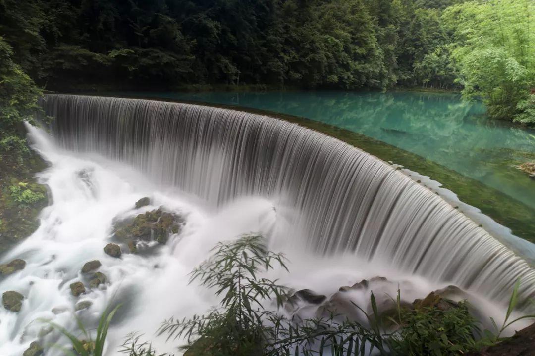 拯救机灵鸟